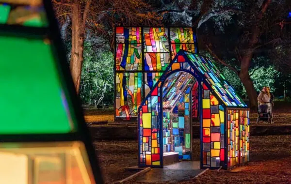 Enchanted Forest of Light · organizer image