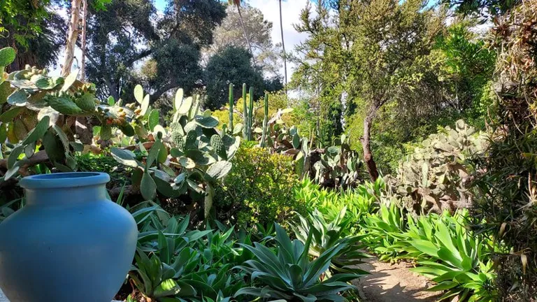 Rancho Los Alamitos