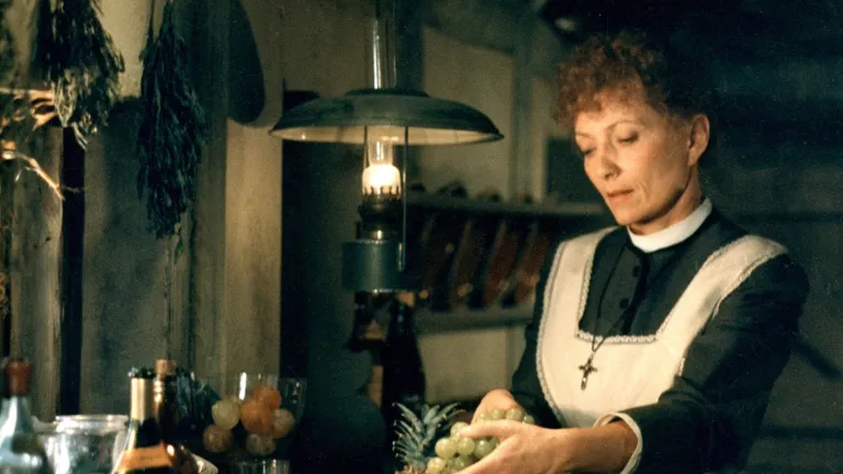 Food and Film: Babette's Feast · organizer image